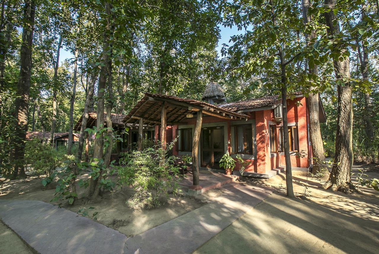 Kanha Jungle Lodge Dhanwar Ngoại thất bức ảnh
